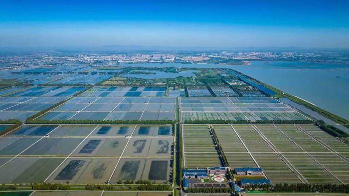 航拍高淳固城湖螃蟹核心區(qū)。高淳區(qū)融媒體中心供圖